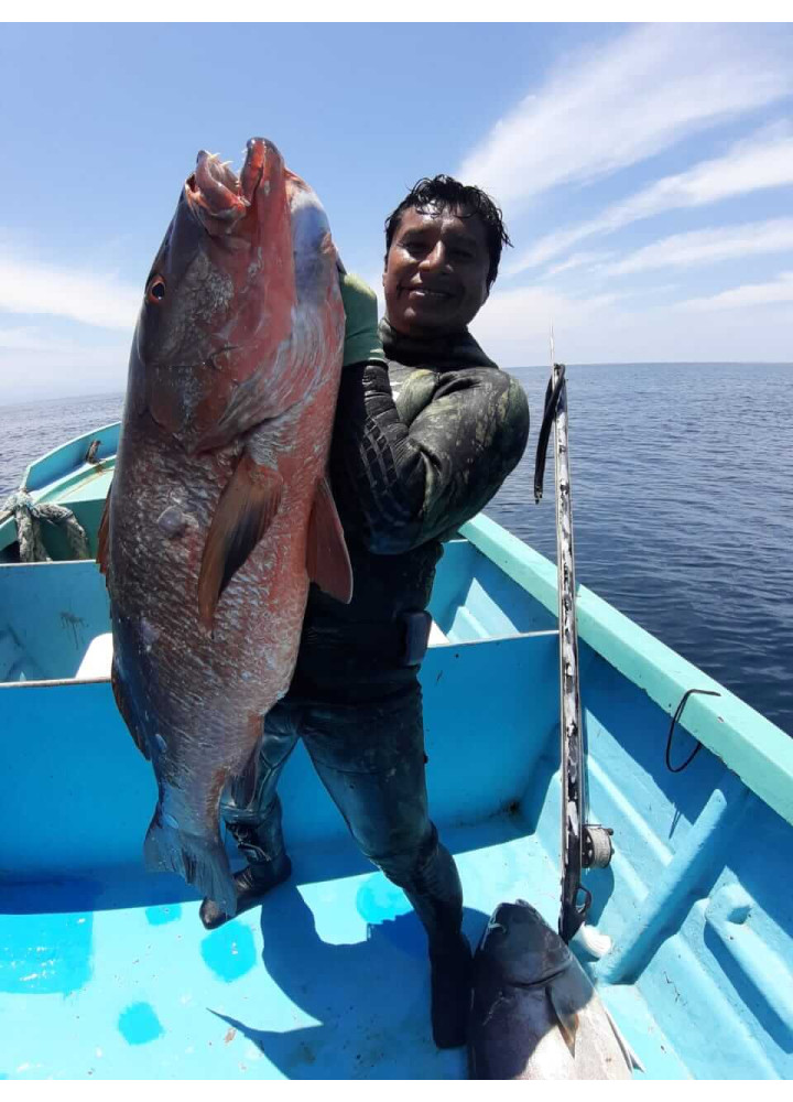 Wetsuit 3mm Fire Green Yamamoto Pescador(Up 3xl)