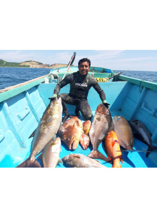 Wetsuit 5mm Green Pescador