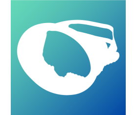 Pinguim Sub - Scuba Masks